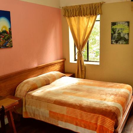 Hostal Loro Verde Quito Luaran gambar